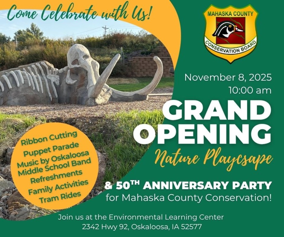 Nature Playscape GRAND OPENING and 50th Anniversary for Mahaska Co. Conservation will be held on Saturday, November 8, 2025.  Come and celebrate with us!